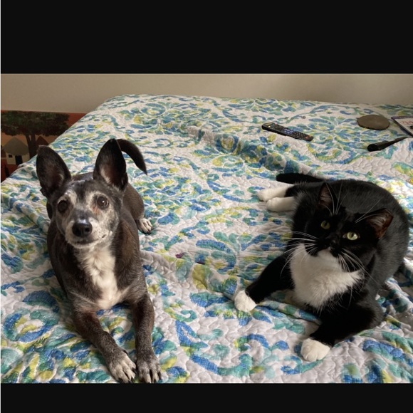 HANDMADE SHARE SHOW. DO NOT BID - Picture 11 of 14